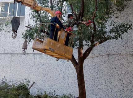 �޼���ľ  ��������