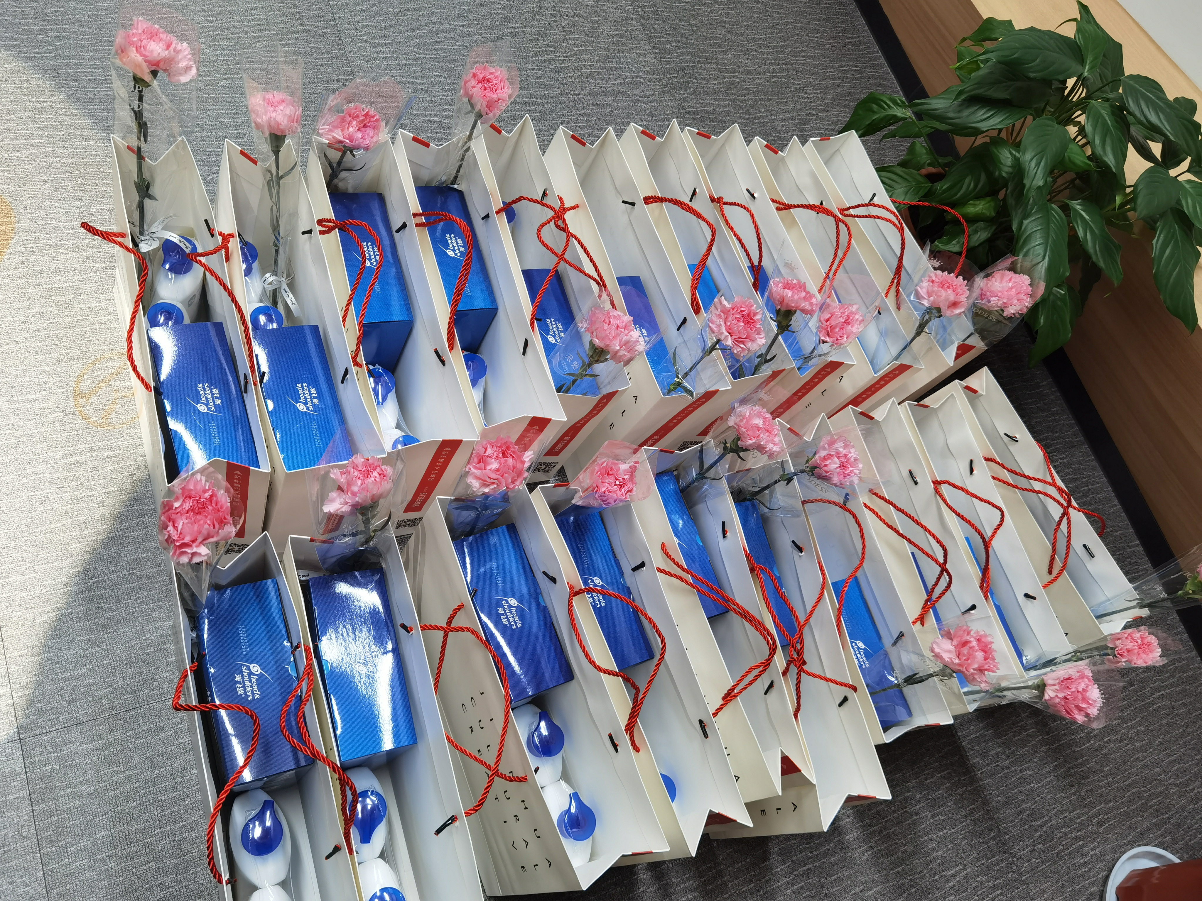 ��ů���� ������ʱ�Ĵ����Ź����𾢿�չ����ů�˶� 