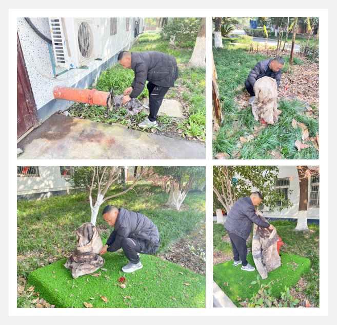 Ӧ�Ժ������ܴ��ϡ����¡�