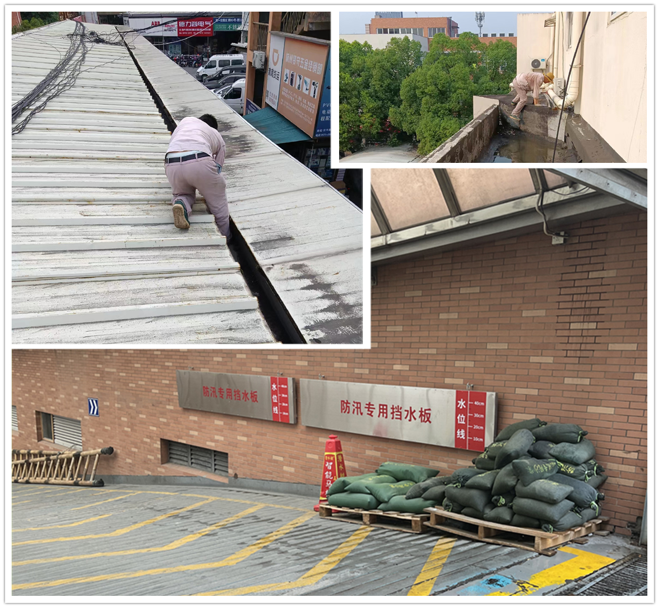 Ӧ��̨�硰÷���� ������ʱ�г����ж�