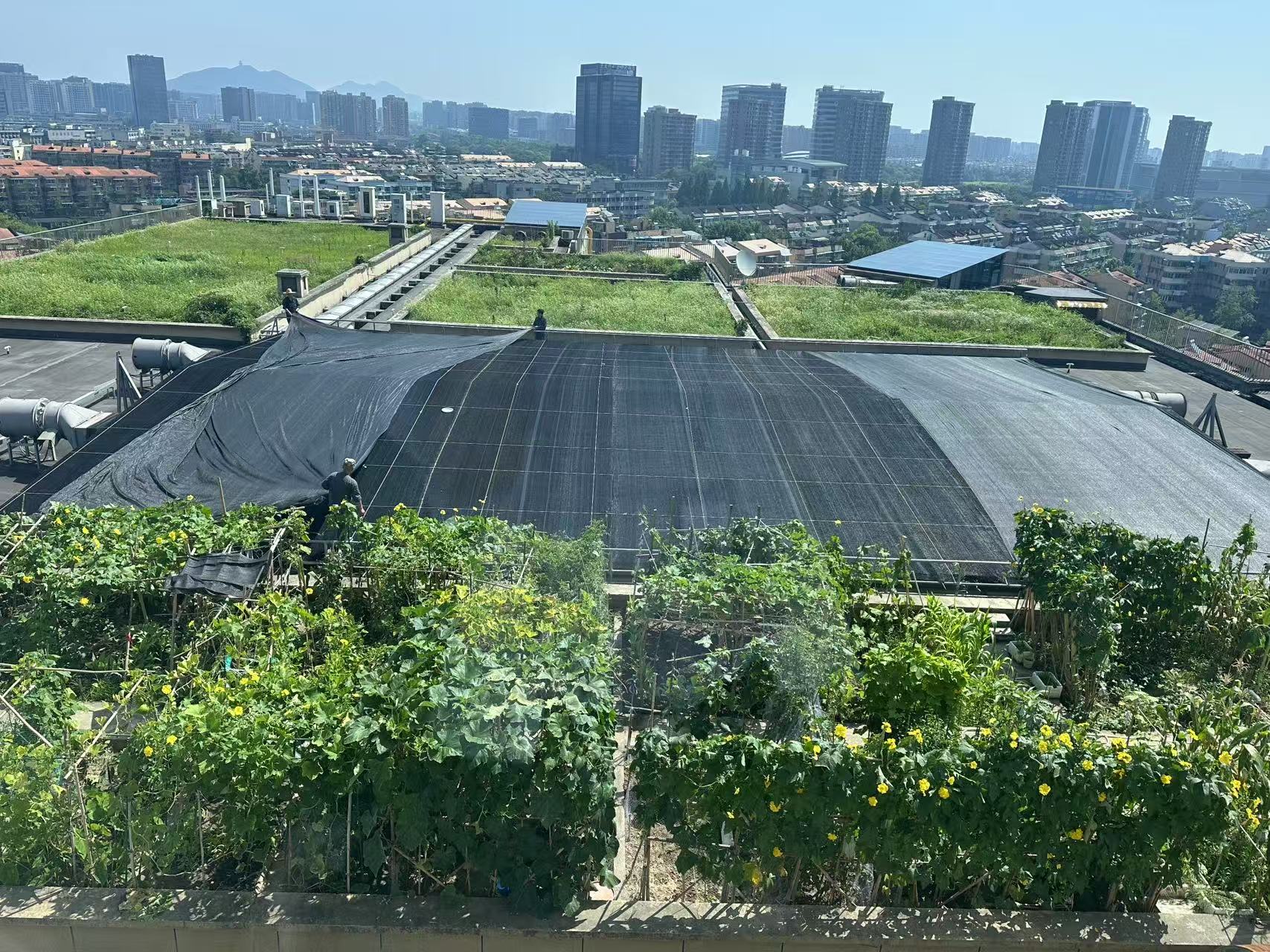 ˮ������ʩ��������������Ϊ���ܽ���ע����������