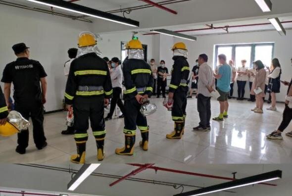 ǿ��������ʶ������������������