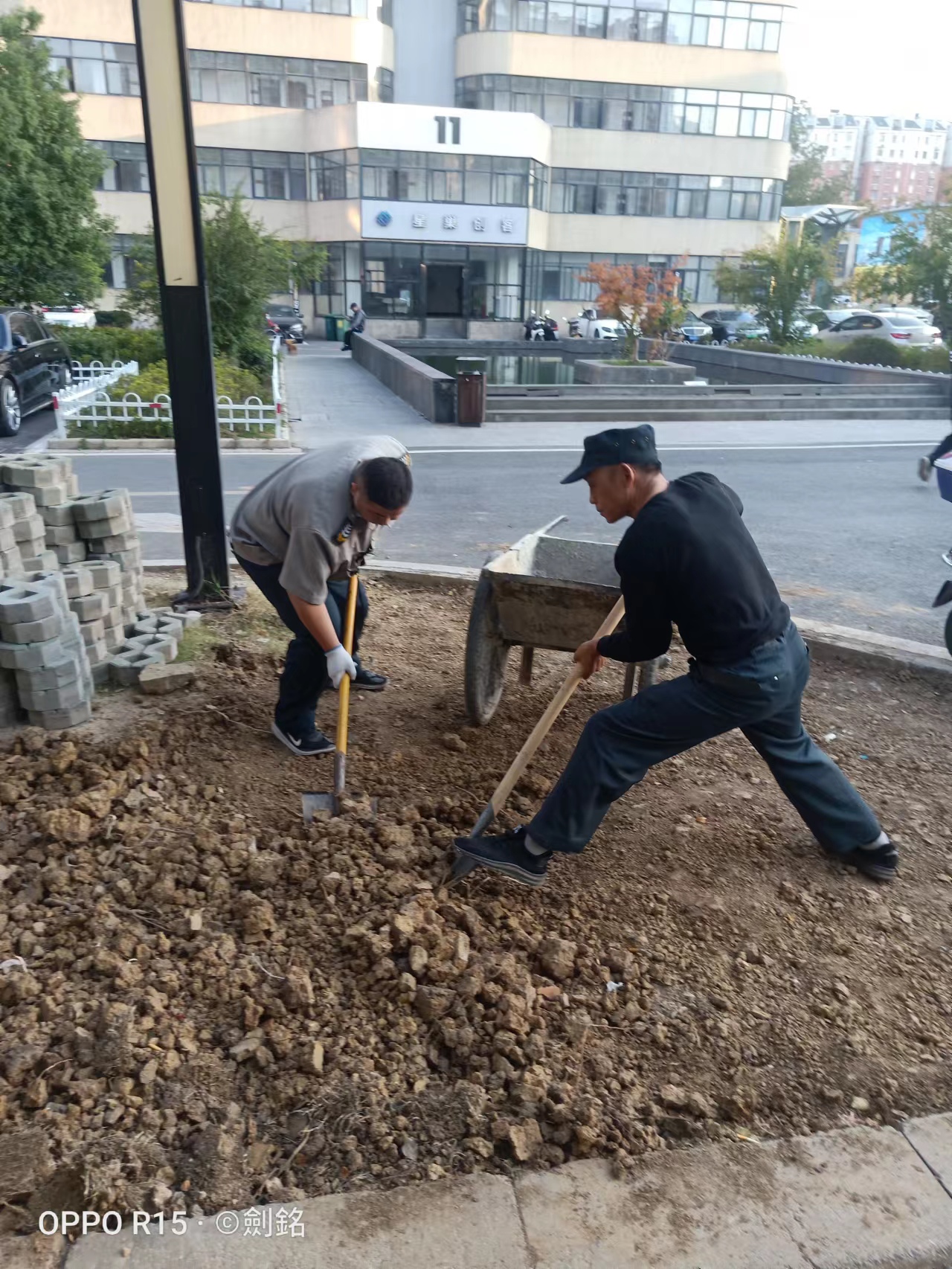 ®��������ʱ�Ĵ�԰��չ�����Ż��ж�