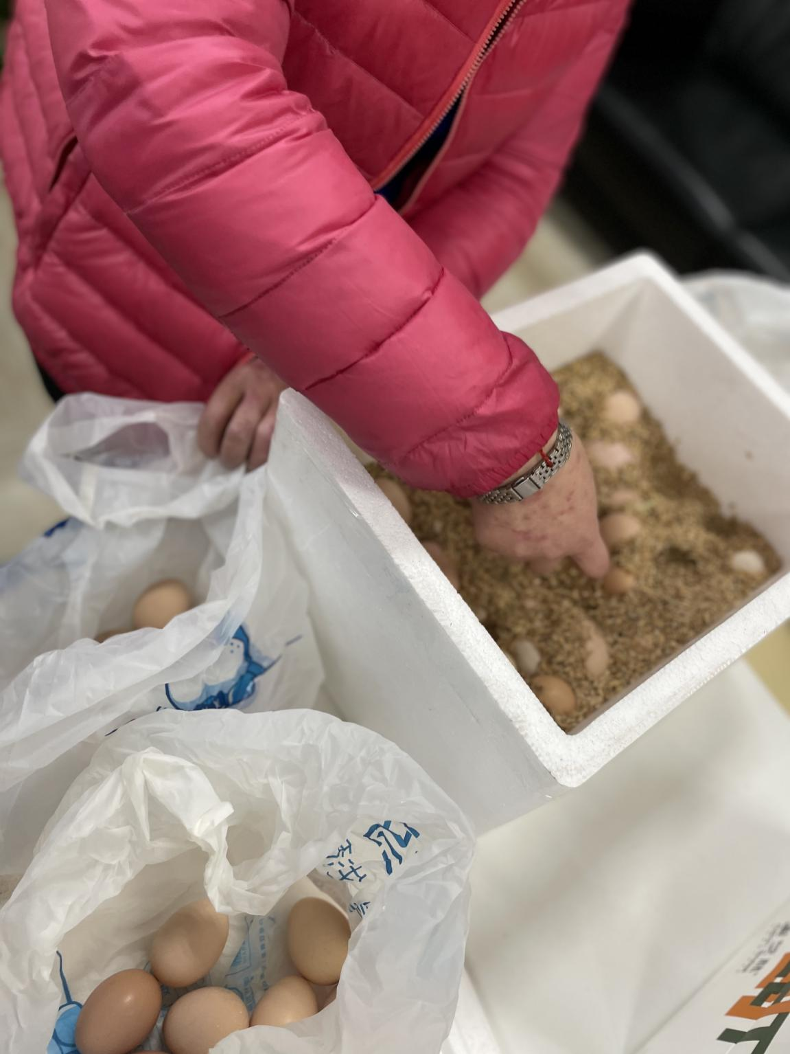 �����䡰���������������Ǵ���ܡ��¡�