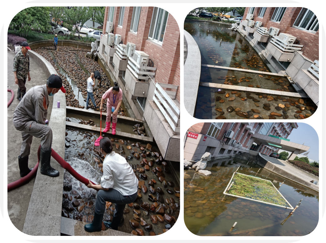 ��Ŀһ������������԰�����۳�ӭ������ϴ֮�ա�