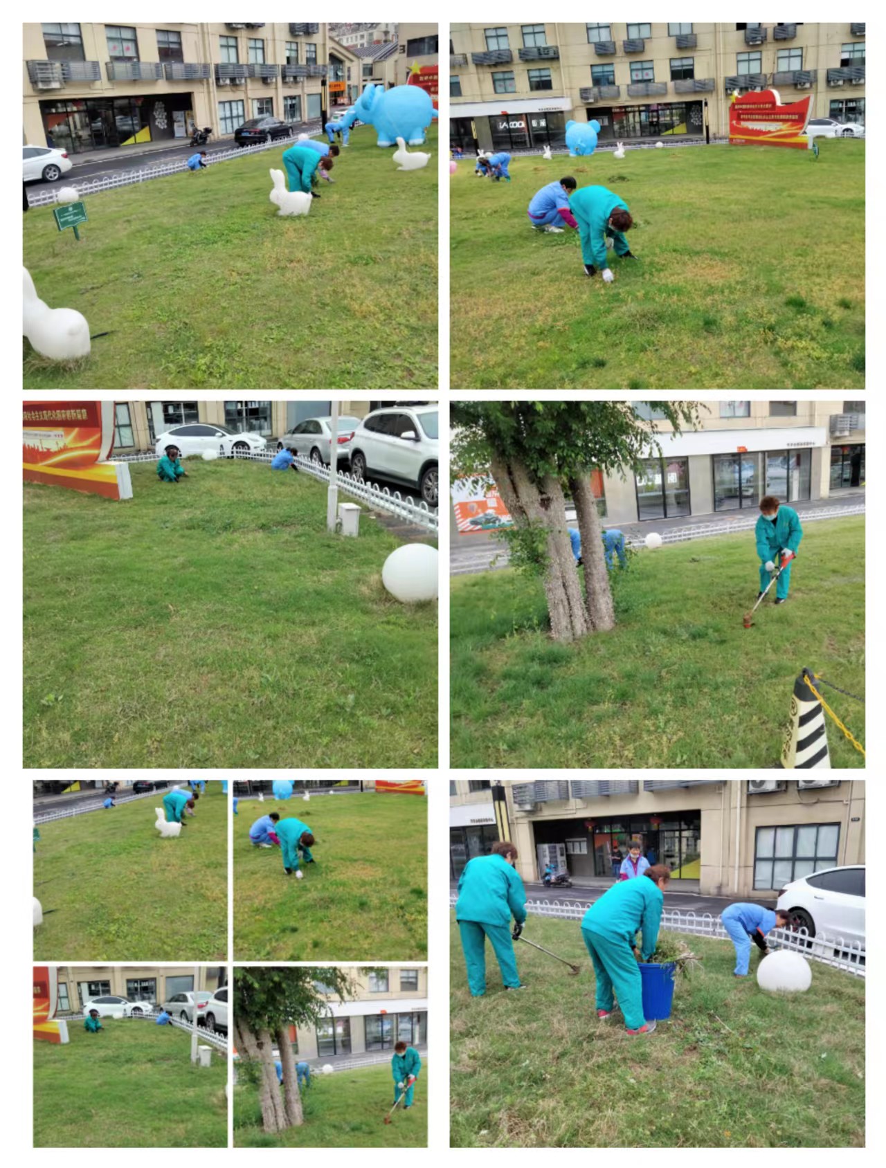 ®��������ʱ�Ĵ�԰��չ�̻���������