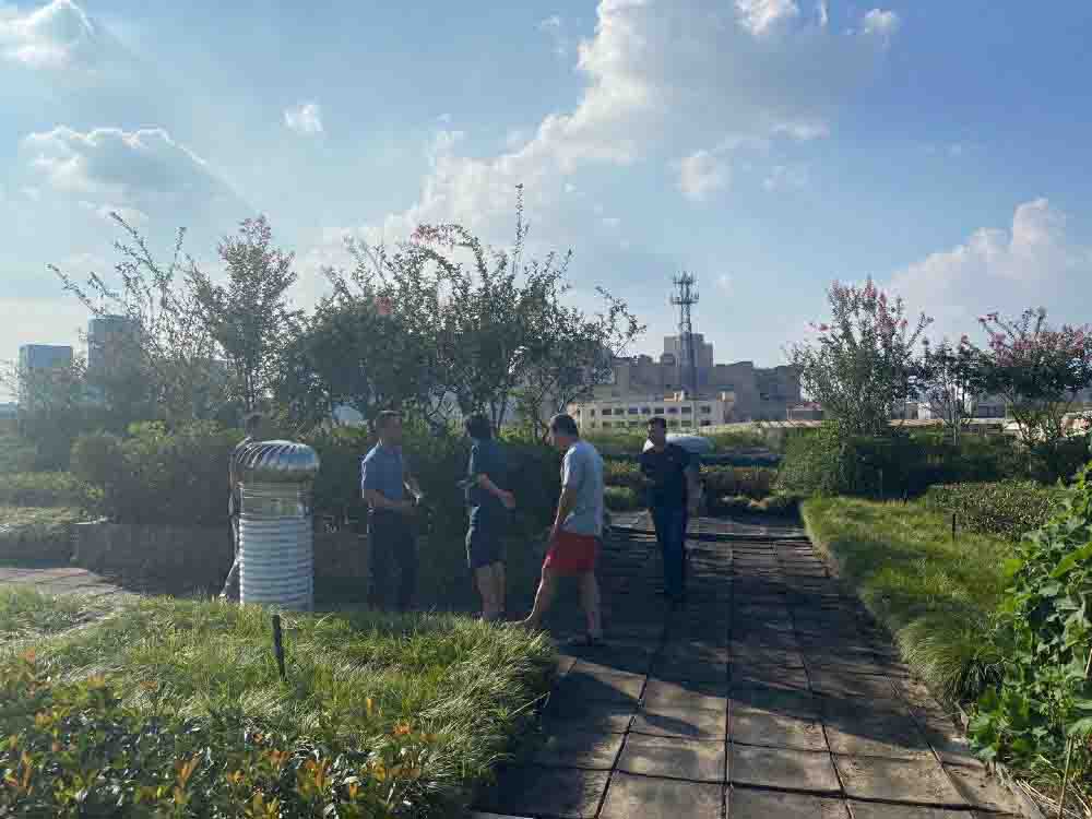 ���̻�����Ǯ���̳��ݶ��̻� ��������