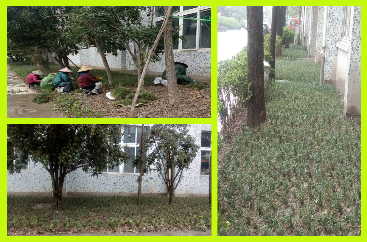 ݪֲ�̻�������������������