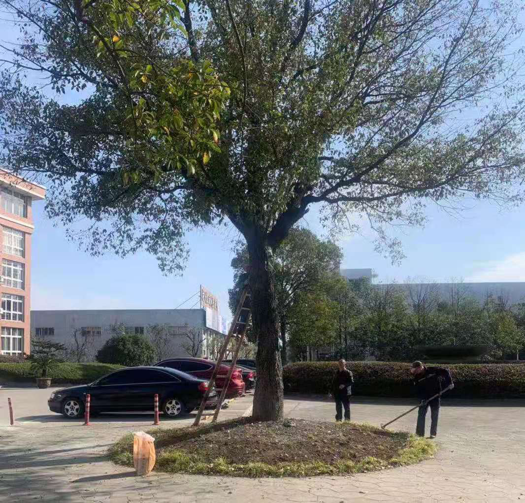 ��ѧ��������������