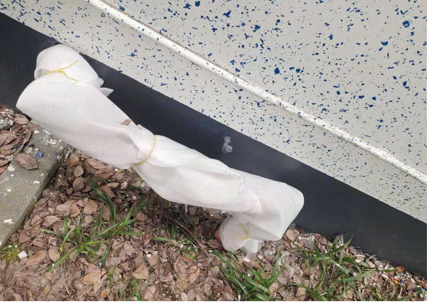 图片5.png 图片5.png