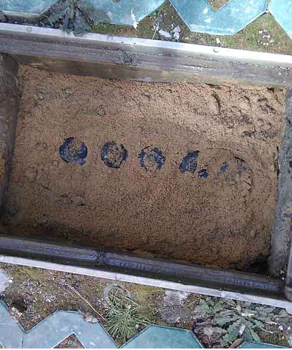 图片6.png 图片6.png