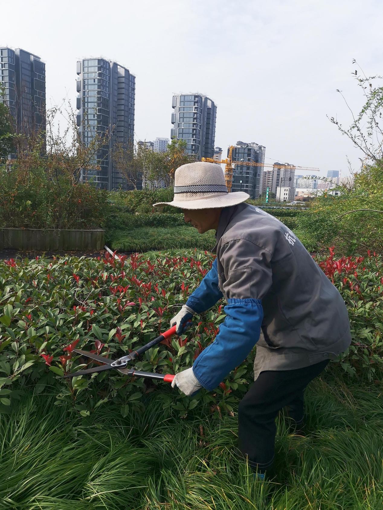 图片1.jpg 图片1.jpg