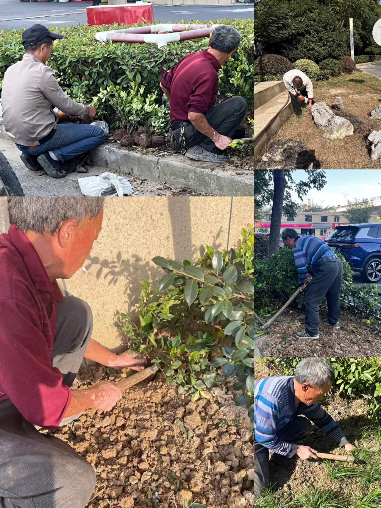 图片1.png 图片1.png