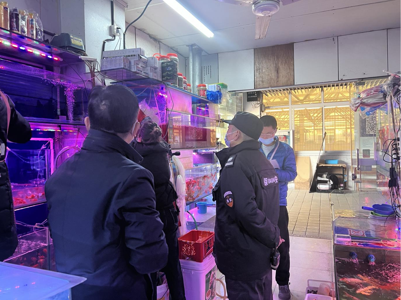 图片3.png 图片3.png