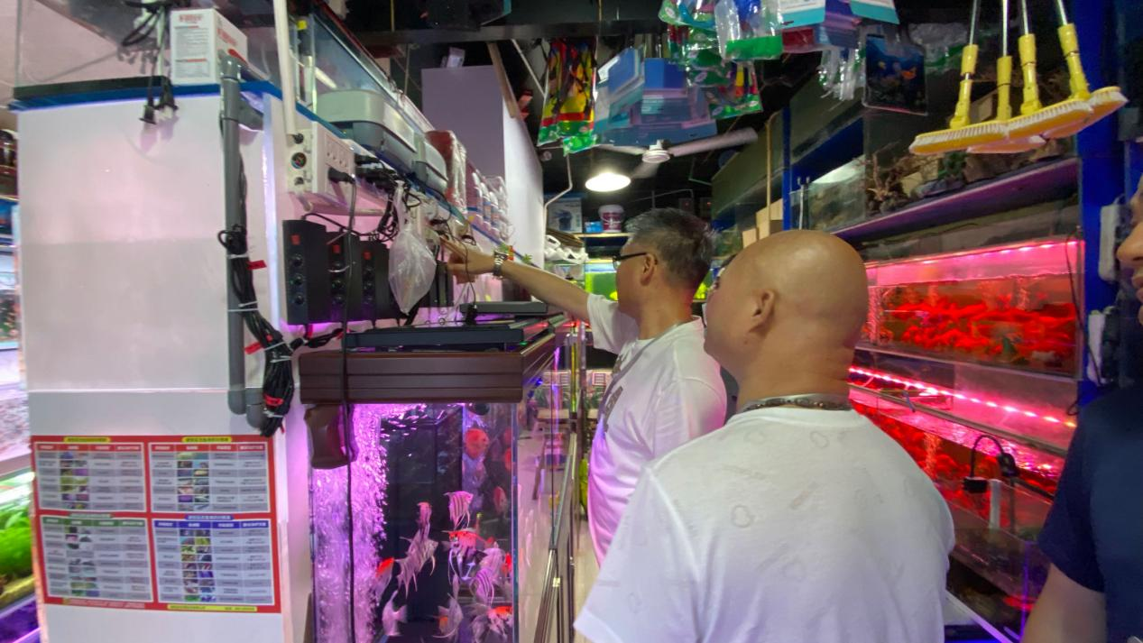 图片4.png 图片4.png