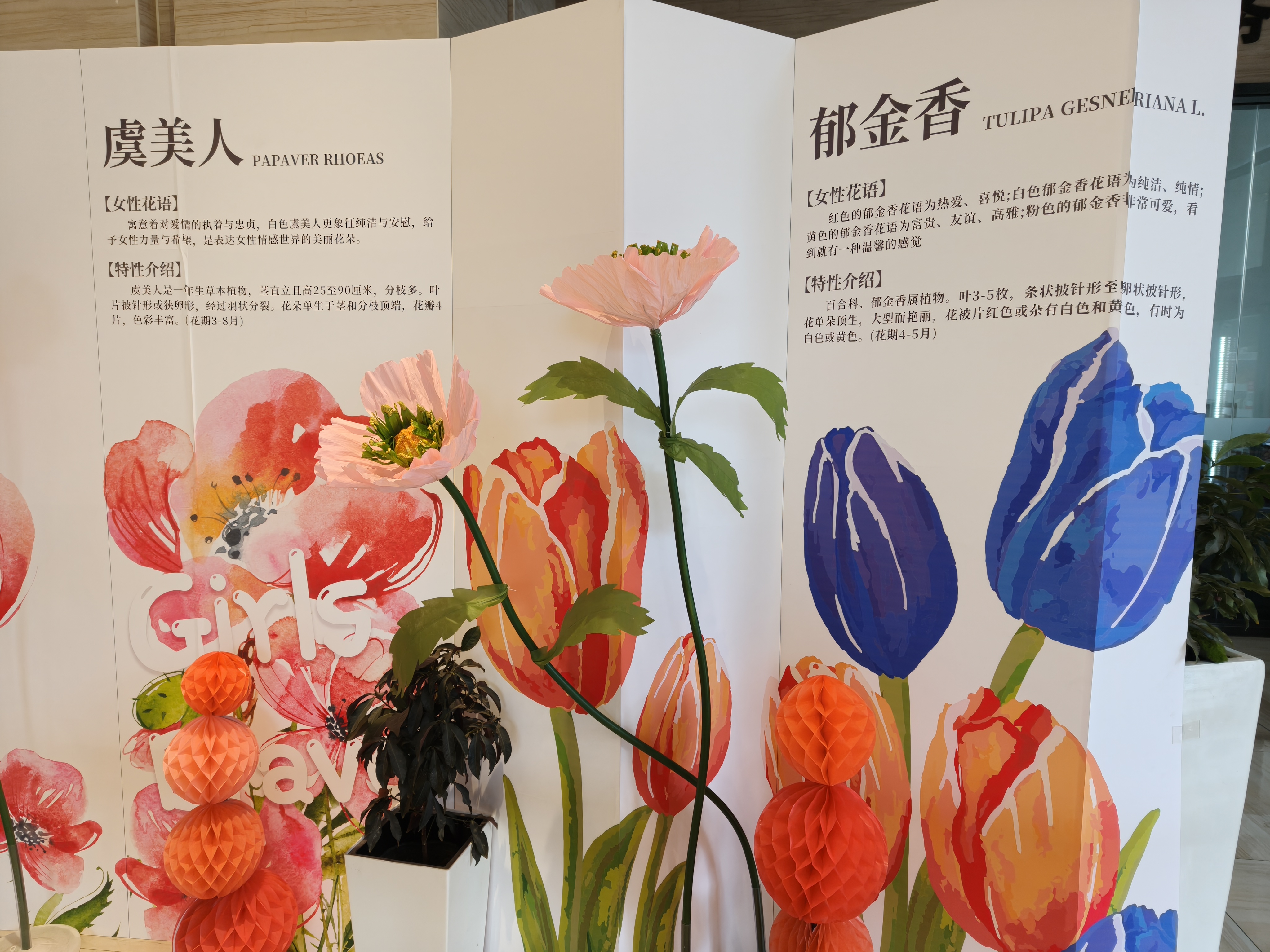 微信图片_20250307131419.jpg 微信图片_20250307131419.jpg